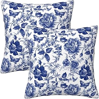 Blue White Porcelain Floral Butterfly Pillow