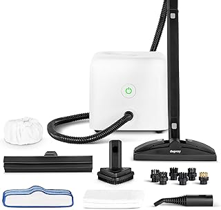Dupray Neat Steam Cleaner 17-Piece Kit