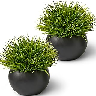 Fake Succulents Plants Artificial Premium Ceramic