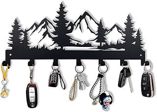 Metal Key Holder Wall Mounted Hooks