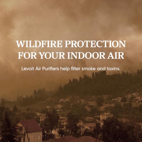 Best Place For Air Purifier In Bedroom