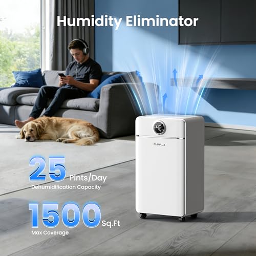 Best Place To Put Dehumidifier In Bedroom