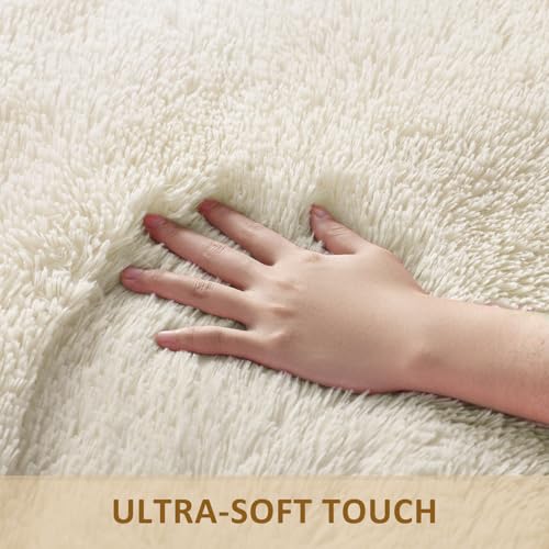 Best Colour Carpet For Bedrooms